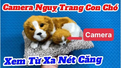 Chó Bông Tích Hợp Camera trong bộ ảnh sản phẩm