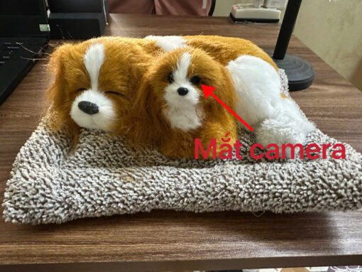 Chó Bông Tích Hợp Camera Mini Không Dây Quan Sát An Ninh Từ Xa